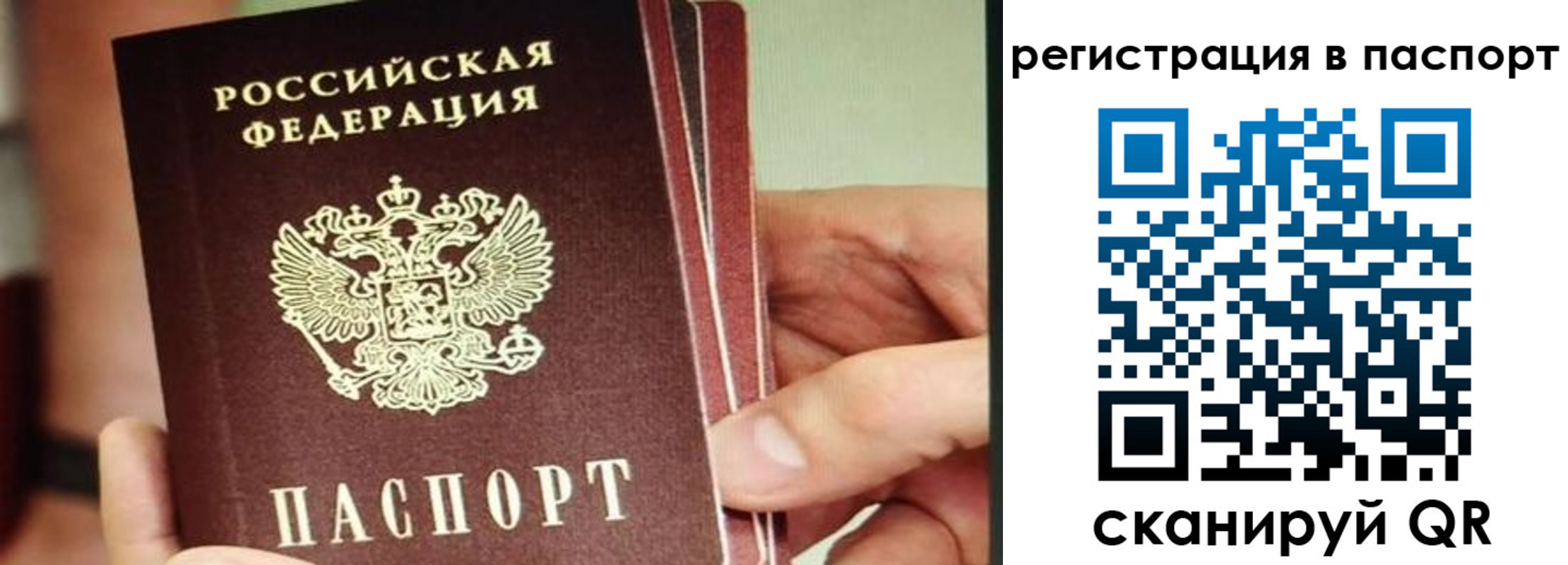 временная регистрация надежно в Жердевке